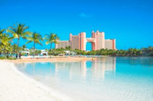 A beach with palm trees and a large building in the background.