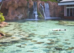 A pool with water flowing over it and rocks