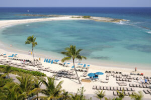 A beach with palm trees and chairs on the sand.