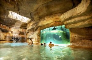 A group of people swimming in an indoor pool.