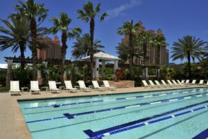 A swimming pool with many chairs and palm trees