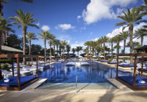 A pool with palm trees and blue water